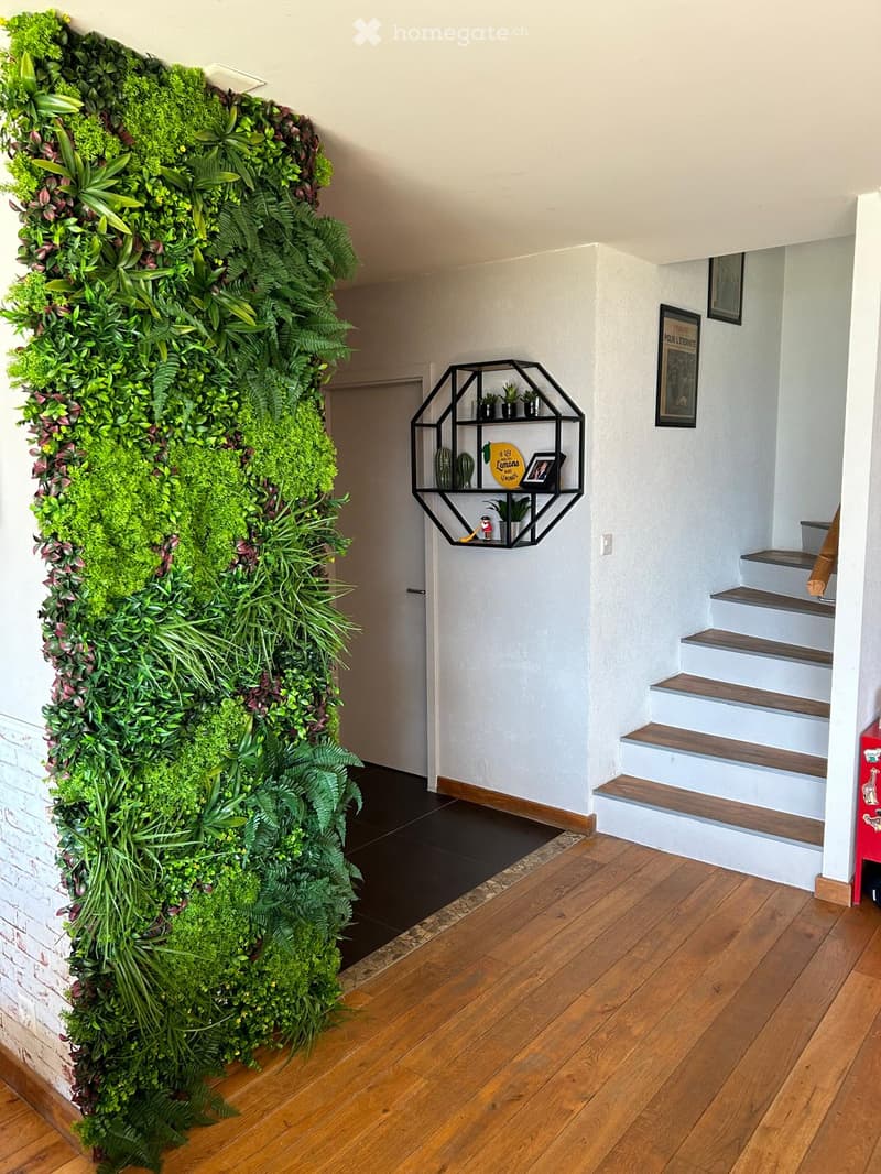 Furnished Room. A room with a green wall, a black shelf with plants, picture frames, stairs, a door, and a mat.