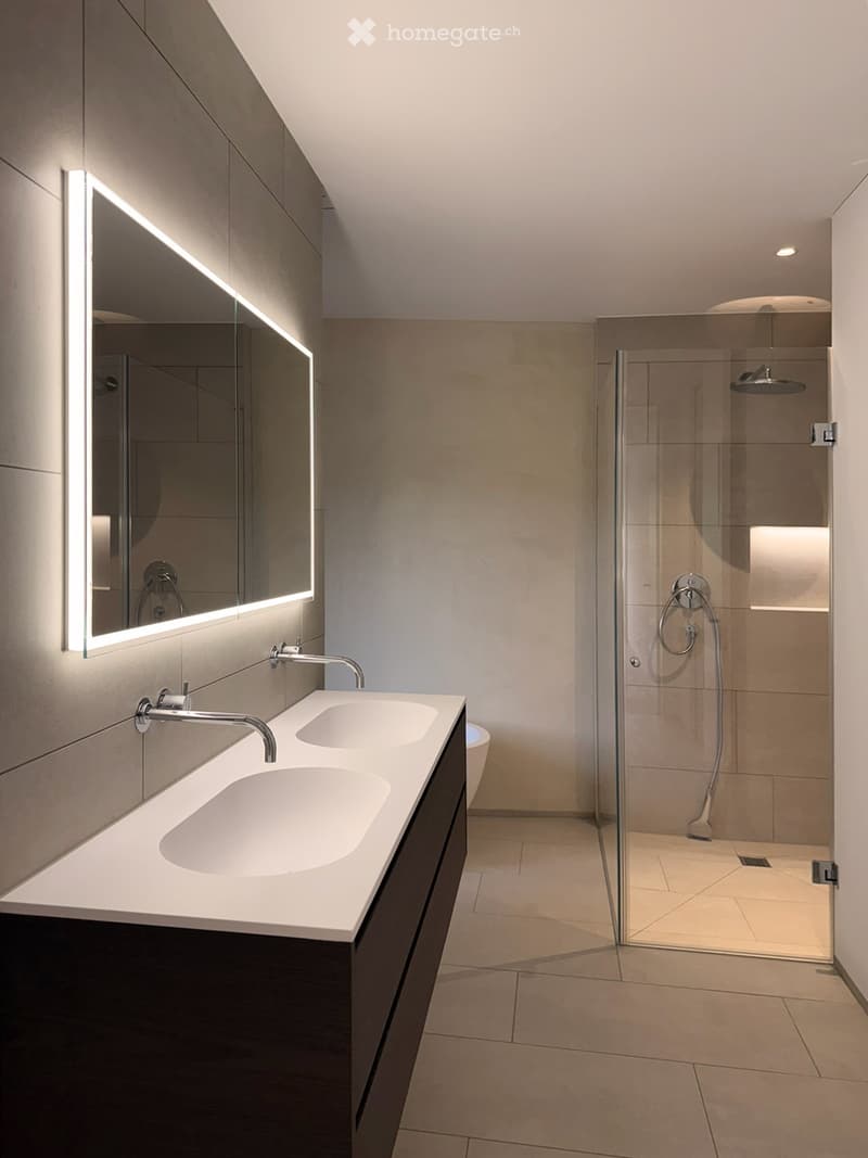 Modern bathroom with a double sink, large mirror, and a glass shower enclosure.