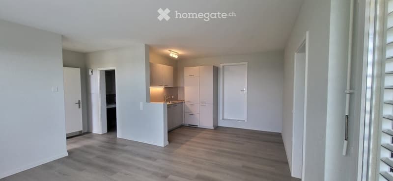 Open plan kitchen, hardwood floors, built-in cabinets, white walls, ceiling lamp, doors, kitchen with sink, faucet and cabinets