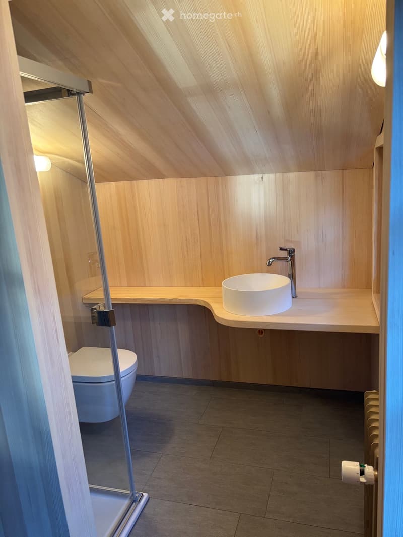 Dachwohnung in Ernen (8)