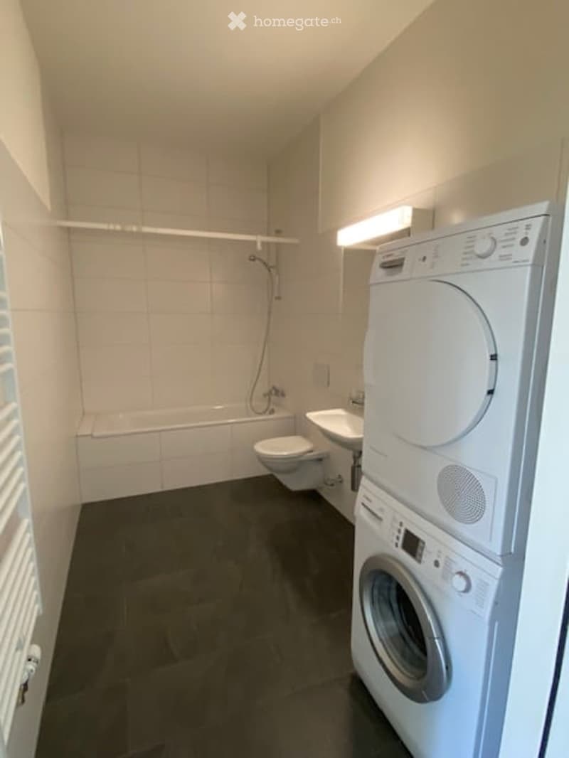 Bathroom with bathtub, toilet, sink, washing machine, and dishwasher