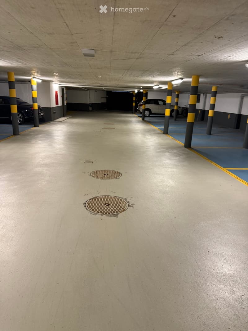 Other. {"visible_features": [], "type": "Garage", "objects": ["car", "pole", "manhole cover"], "description": "Empty parking garage with yellow and black poles, manhole covers, and two cars parked.", "localized_descriptions": {"EN": "Empty parking garage