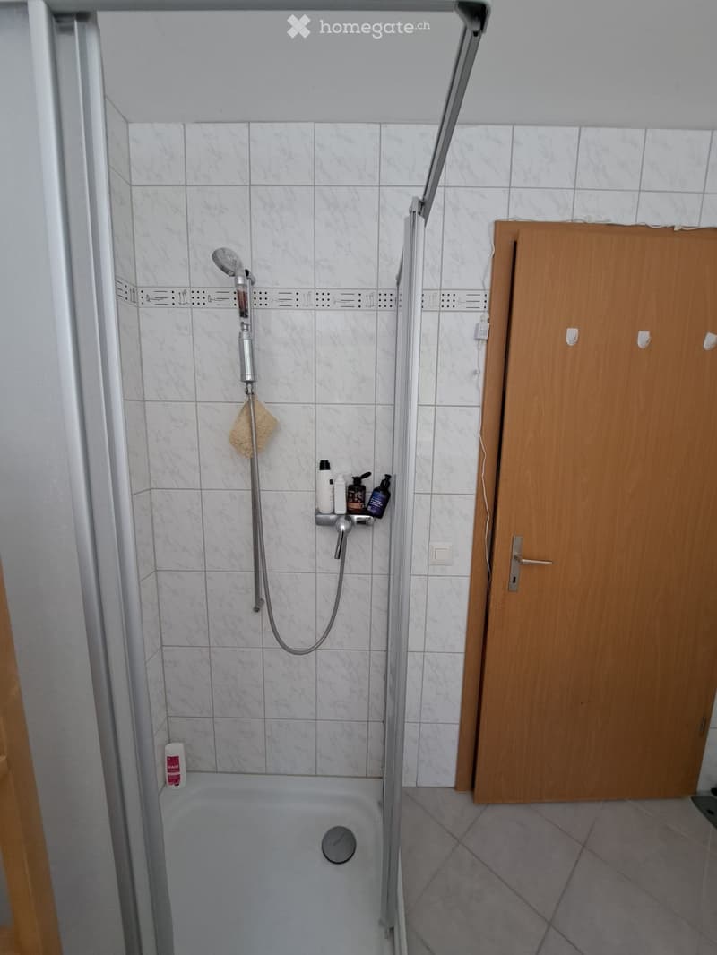 Möbliertes Zimmer in Regensdorf (3)