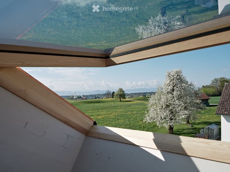 View from a window frame, showing a tree, grass, and a house.