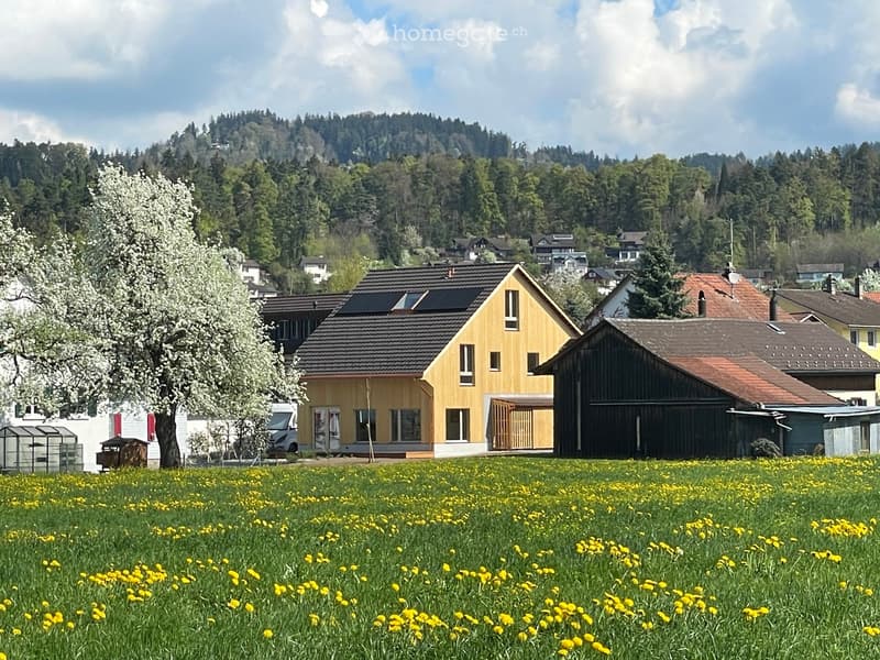 A yellow house with solar panels on the roof, surrounded by a field of yellow flowers and a large tree.