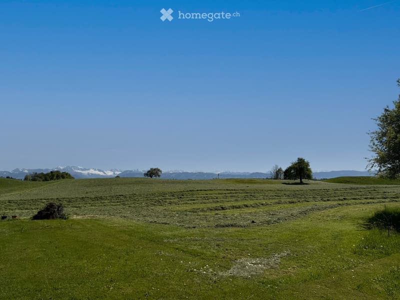 Wide open green field with a few trees and bushes, distant mountains under a clear blue sky.