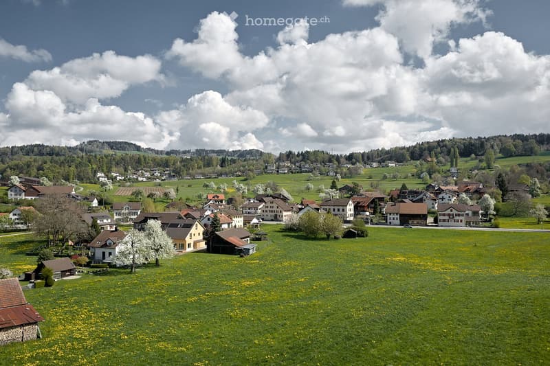 Aerial view of a village with houses and a green field.