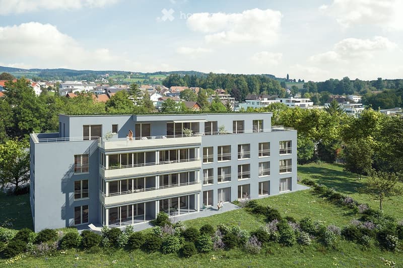 Exklusive 4.5-Zimmer-Neubauwohnung in Ballwil – stilvoll wohnen mit Alpenpanorama (1)