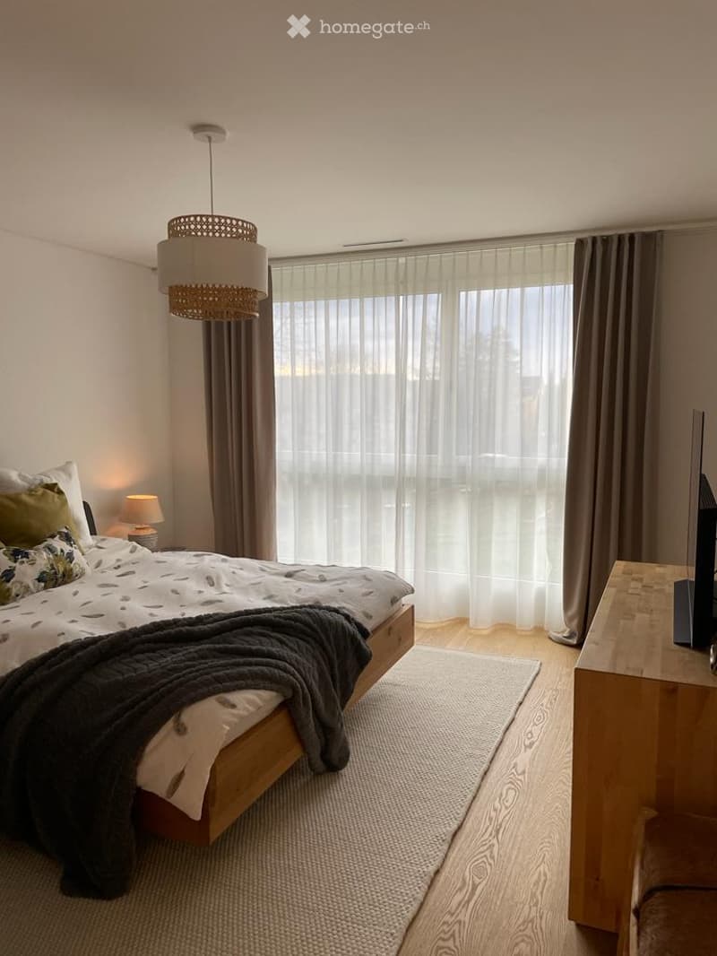 bedroom with bed, lamp, rug, TV, window with curtains