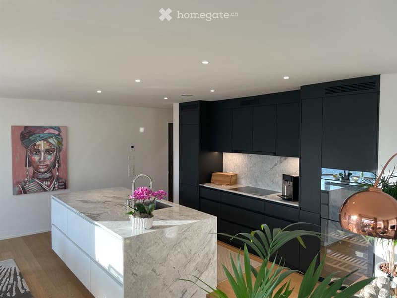 modern kitchen with marble countertop, black cabinets, white drawers, gas stove, sink, coffee machine, artwork, plants