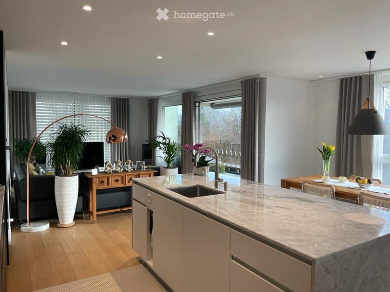 modern kitchen with marble countertop, sink, faucet, wooden table, chairs, plants, couch, TV, lamp, wooden floor