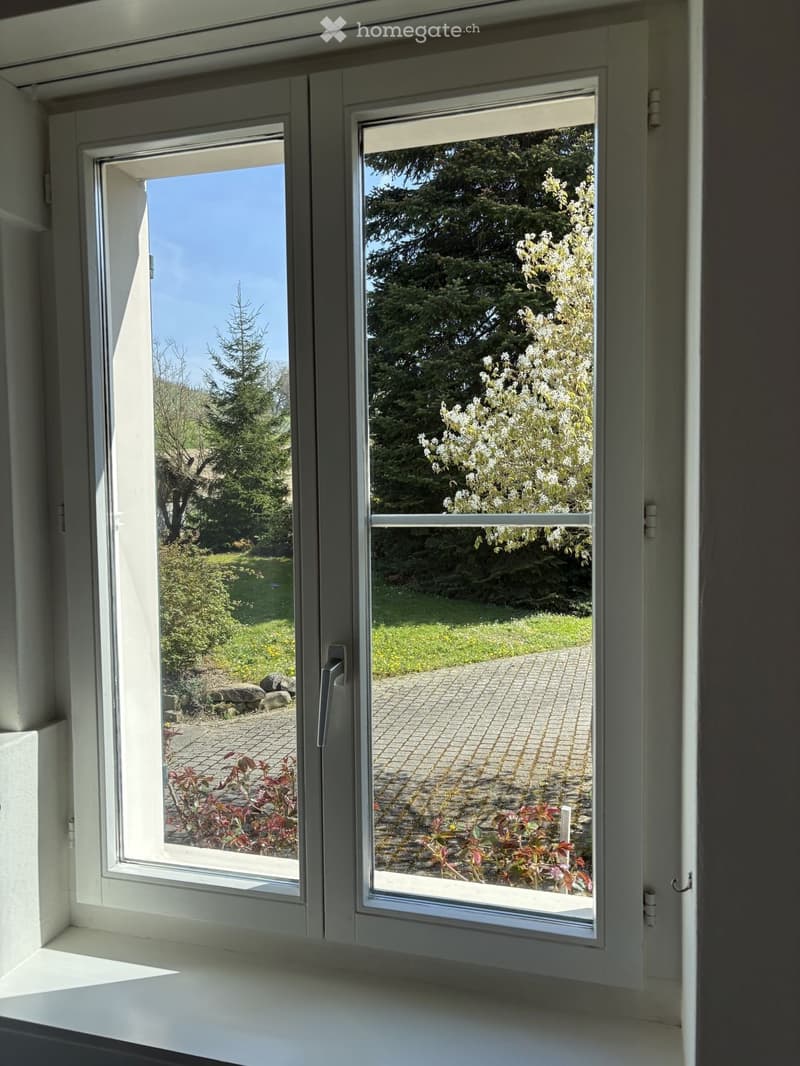 Herrschaftliches 6.5-Zimmer-Anwesen mit Garage, Geräte-/Hobby-Gebäude und grossem Garten in Dorf ZH (34)