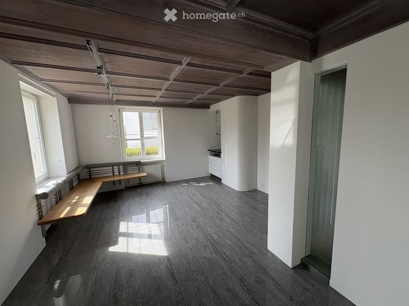Herrschaftliches 6.5-Zimmer-Anwesen mit Garage, Geräte-/Hobby-Gebäude und grossem Garten in Dorf ZH (5)