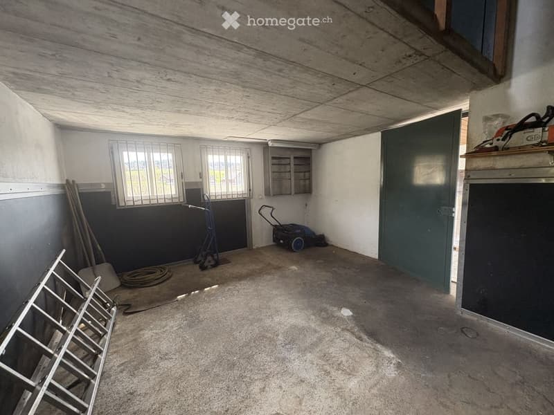 Herrschaftliches 6.5-Zimmer-Anwesen mit Garage, Geräte-/Hobby-Gebäude und grossem Garten in Dorf ZH (26)