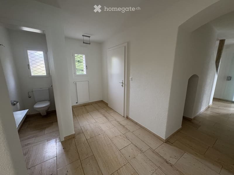 Herrschaftliches 6.5-Zimmer-Anwesen mit Garage, Geräte-/Hobby-Gebäude und grossem Garten in Dorf ZH (13)