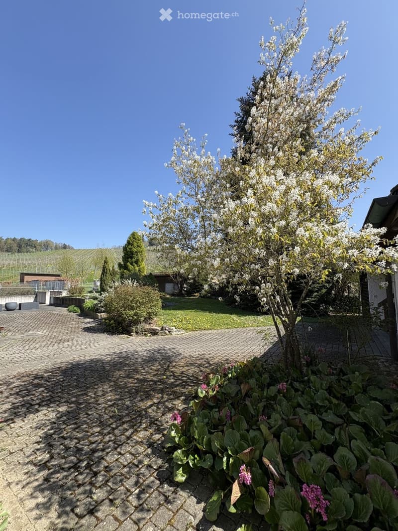Herrschaftliches 6.5-Zimmer-Anwesen mit Garage, Geräte-/Hobby-Gebäude und grossem Garten in Dorf ZH (35)
