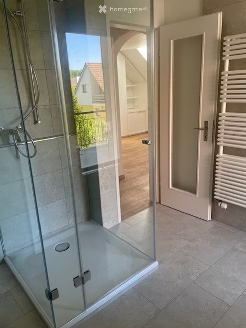 Herrschaftliches 6.5-Zimmer-Anwesen mit Garage, Geräte-/Hobby-Gebäude und grossem Garten in Dorf ZH (16)