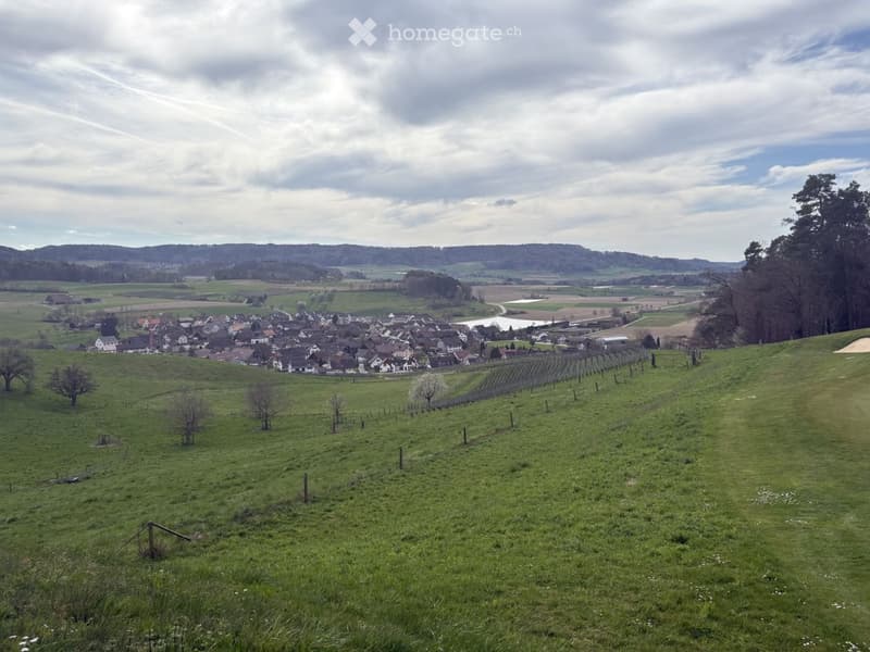 Herrschaftliches 6.5-Zimmer-Anwesen mit Garage, Geräte-/Hobby-Gebäude und grossem Garten in Dorf ZH (33)