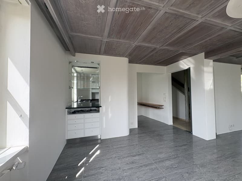 Herrschaftliches 6.5-Zimmer-Anwesen mit Garage, Geräte-/Hobby-Gebäude und grossem Garten in Dorf ZH (7)