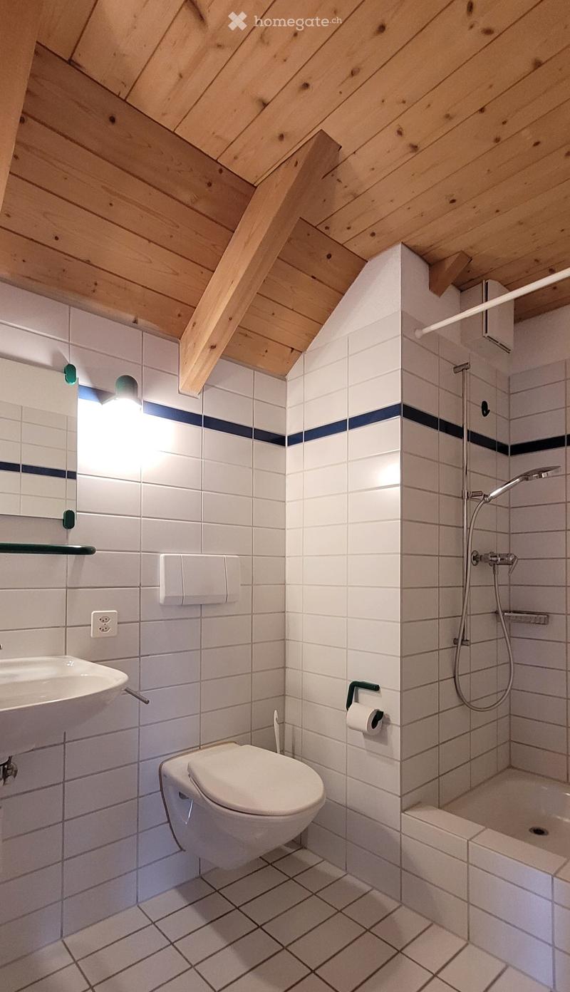 Bathroom with white tiles, wooden ceiling, white sink, toilet, shower, mirror, power outlet