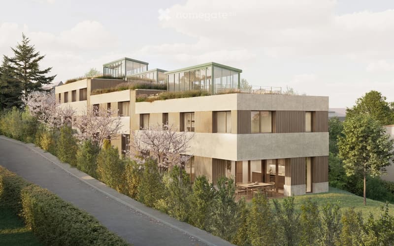 3 Villas neuves avec vue panoramique à Lancy - "Une Oasis à Lancy" (2)