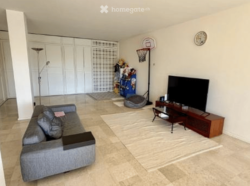 Spacious living room with a gray couch, a rug, a TV, and an entertainment center. A basketball hoop is placed against the wall, and a lamp is on the left side. Toys are on a shelf, and a clock is mounted on the wall.