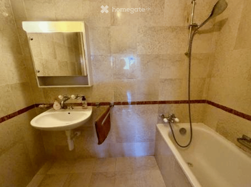Bathroom with a sink, mirror, shower head, bathtub, soap dish, and towel rack.