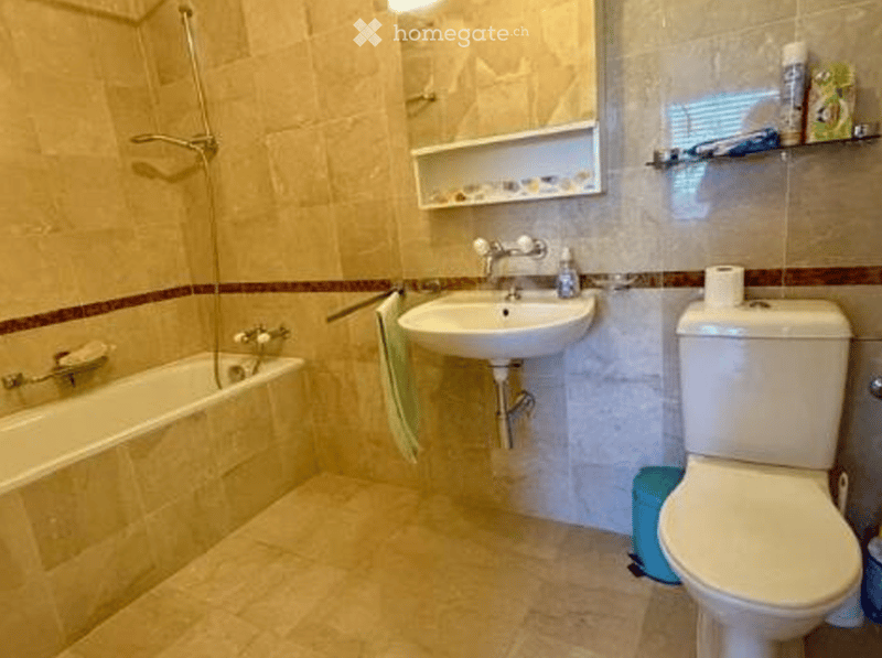 Bathroom with bathtub, sink, toilet, shower head, soap dispenser, towel, shelf, and toiletries.