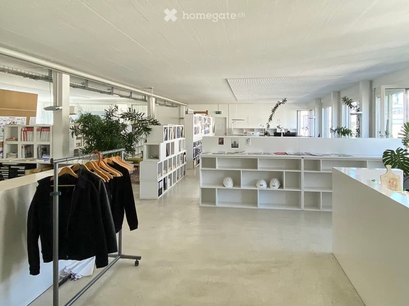 284m2 Atelier in der Binz, Zürich (2)