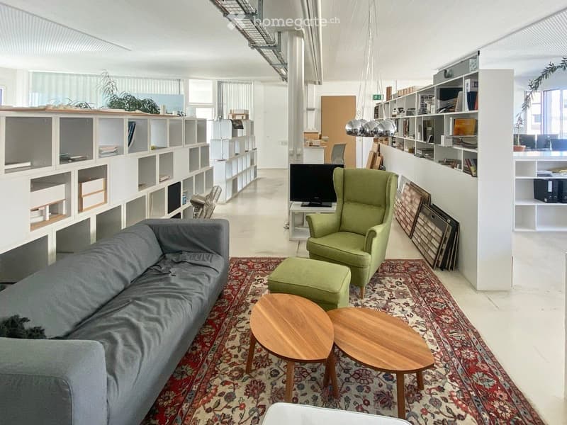 284m2 Atelier in der Binz, Zürich (5)