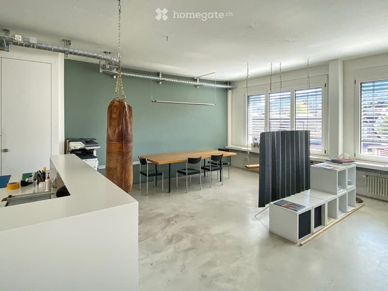 284m2 Atelier in der Binz, Zürich (4)