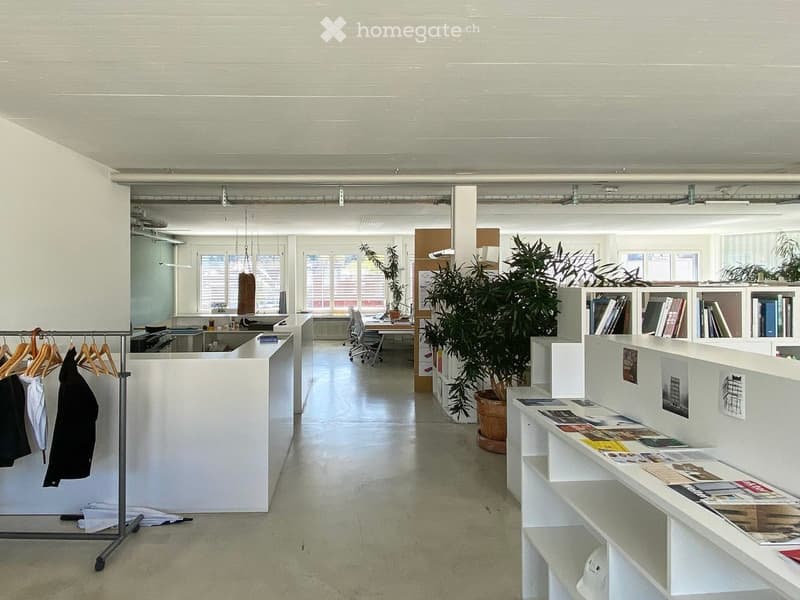 284m2 Atelier in der Binz, Zürich (3)