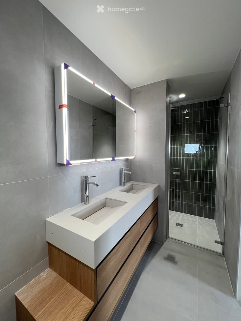 Mise en location d'un immeuble neuf - https://grand-morillon.ch (9)