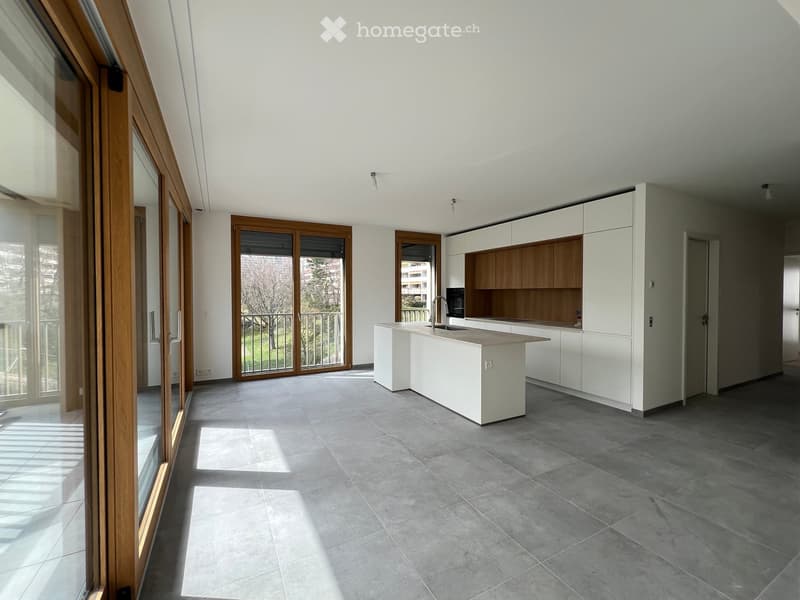 Mise en location d'un immeuble neuf - https://grand-morillon.ch (4)