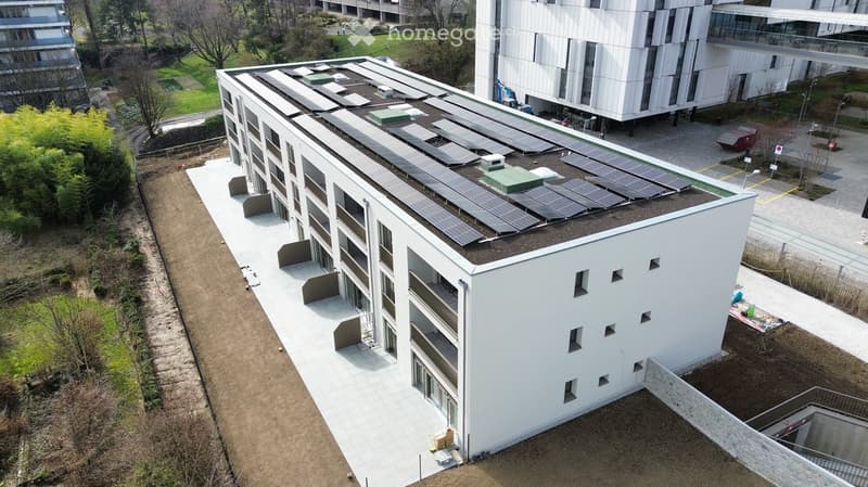 Mise en location d'un immeuble neuf - https://grand-morillon.ch (1)