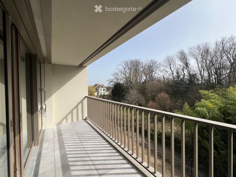 Mise en location d'un immeuble neuf - https://grand-morillon.ch (3)