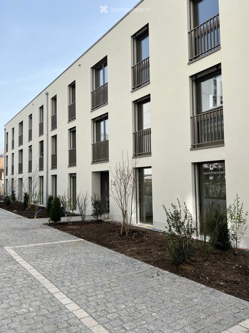 Mise en location d'un immeuble neuf - https://grand-morillon.ch (2)