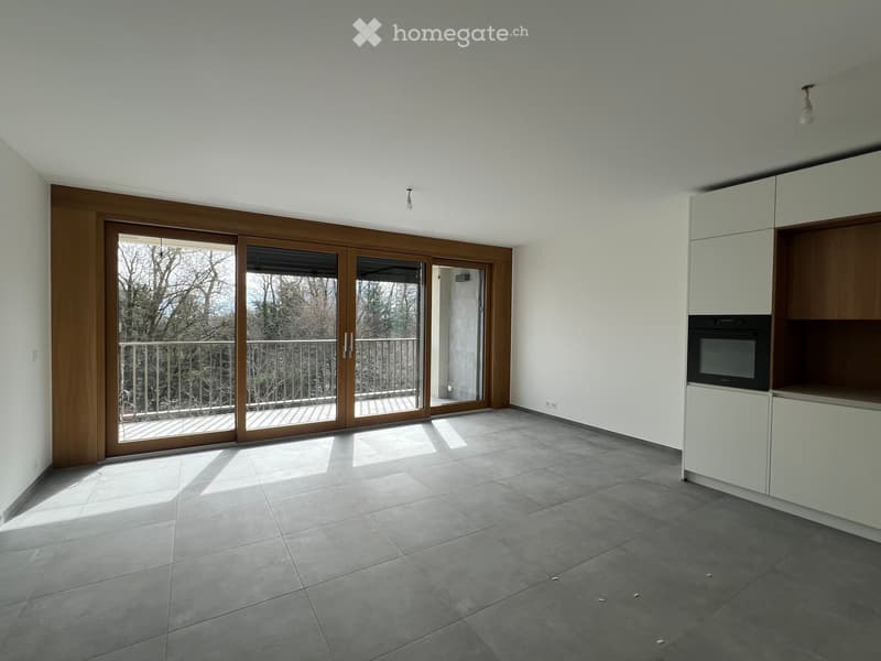 Mise en location d'un immeuble neuf - https://grand-morillon.ch (6)