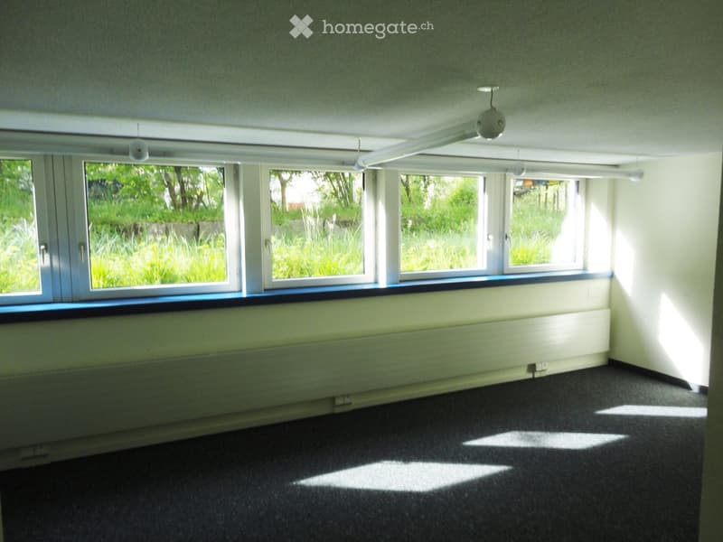 empty room with large windows, white walls, radiator, floored with dark grey