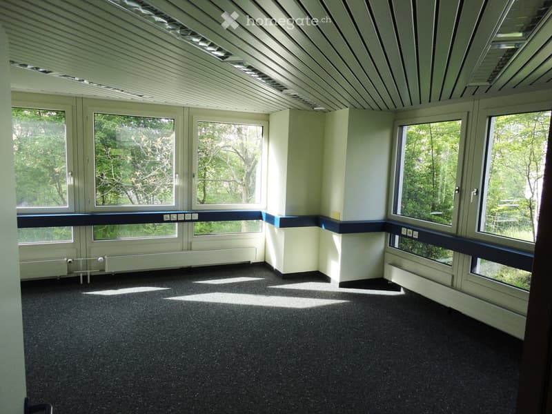 An empty room with carpet flooring and large glass windows offering a view of trees outside.