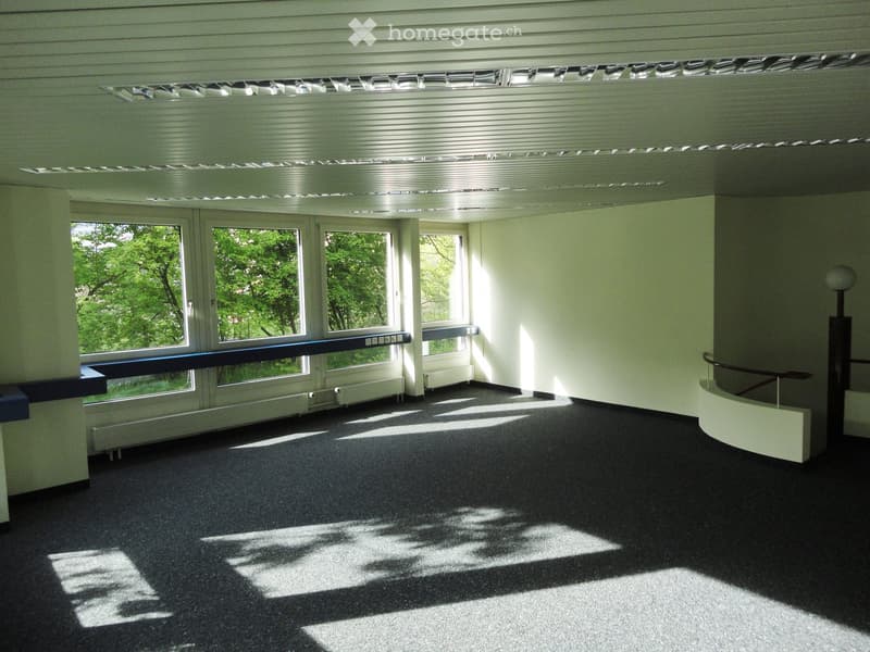 Büro / Praxis in Rapperswil SG (9)