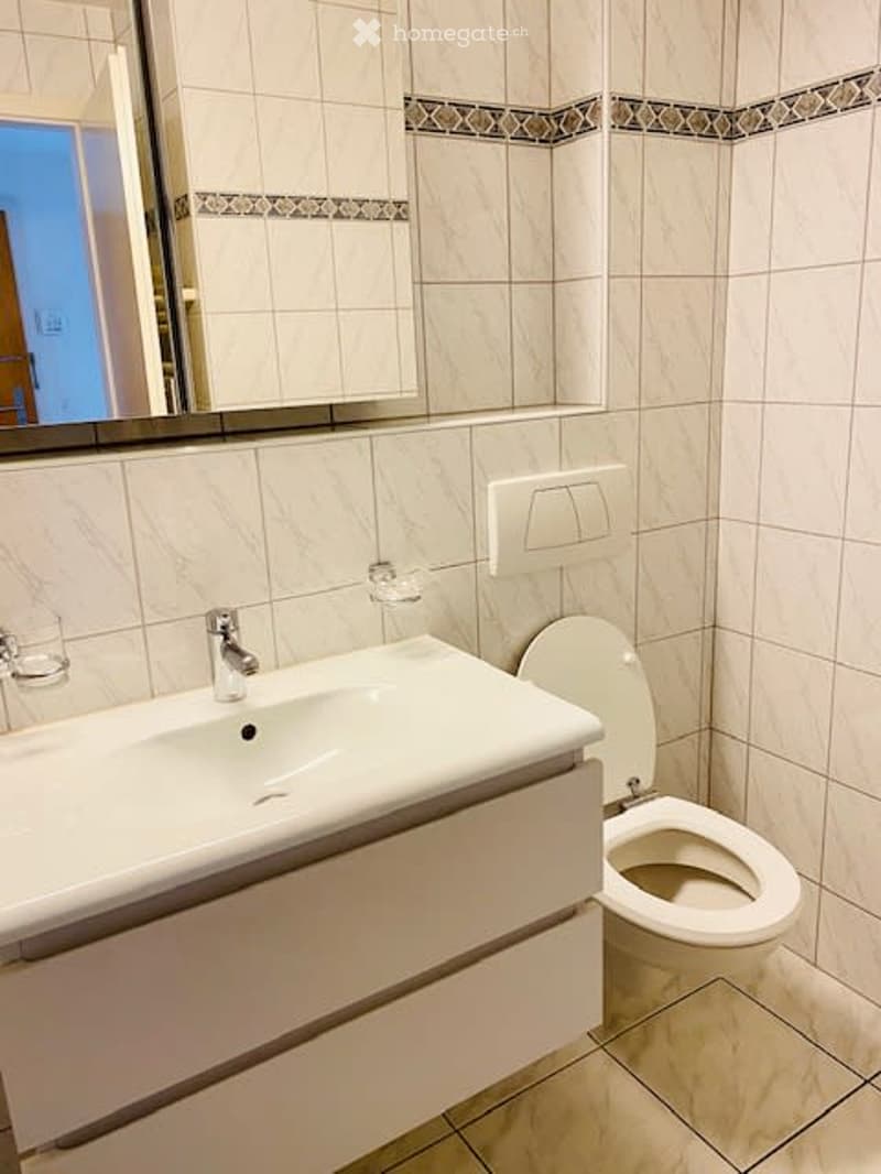 Sonnige und ruhige 3 Z-Wohnung in Reinach - direkt am Naherholungsgebiet (8)