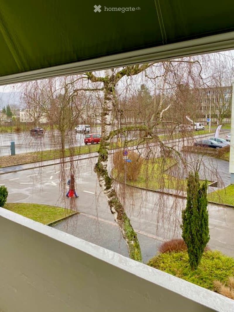 Sonnige und ruhige 3 Z-Wohnung in Reinach - direkt am Naherholungsgebiet (4)