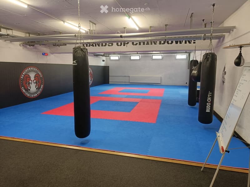 Flexible Lager- oder Arbeitsfläche in Oberwinterthur - 142 m² (1)