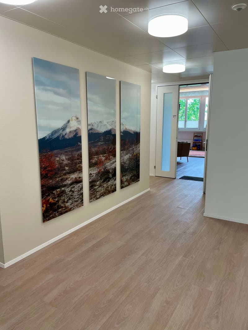 Clean, modern hallway with light wooden flooring, white walls, and large landscape paintings. A door leads to another room with visible furniture.