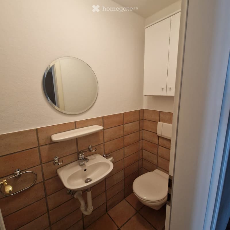 bathroom with sink, mirror, and toilet