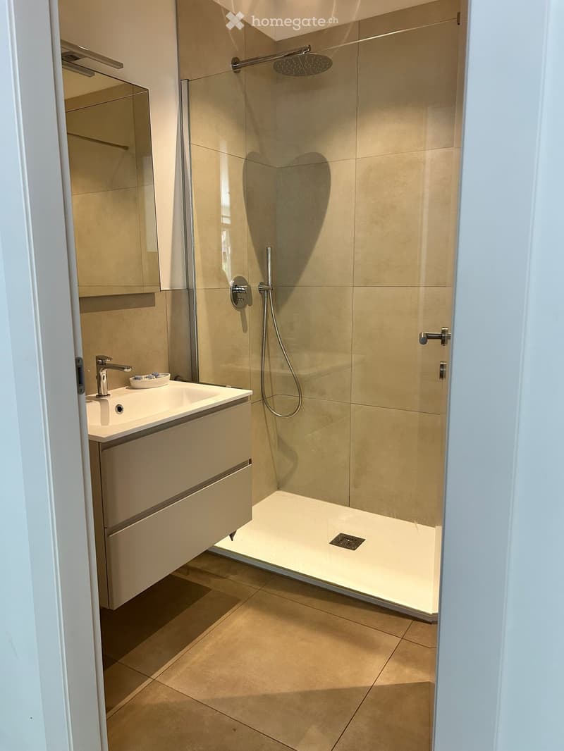 Modern bathroom with a walk-in shower, a white sink, and a mirror. The shower is equipped with a shower head and a shower hose. The sink has a faucet and a soap dish. The bathroom has a tiled floor and walls.
