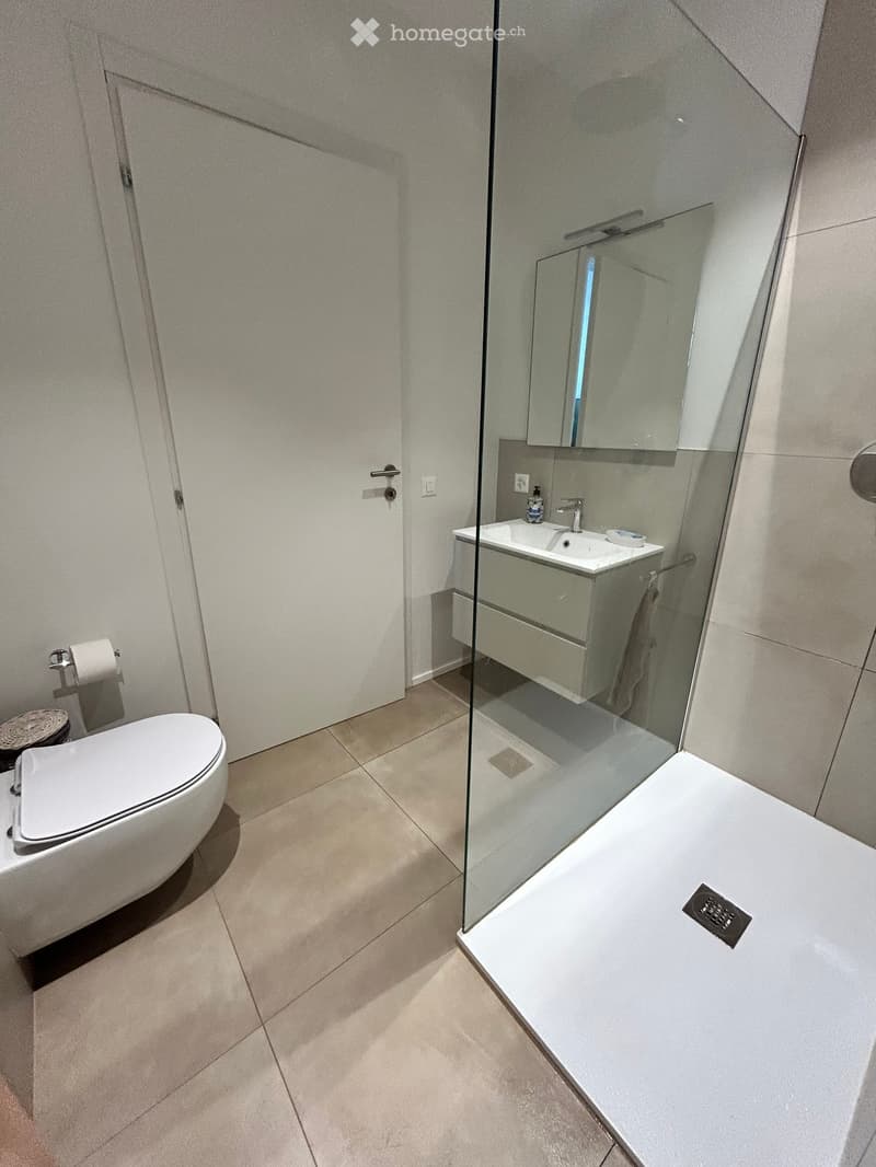 Modern bathroom with a glass shower enclosure, white toilet, and a white vanity with a sink.