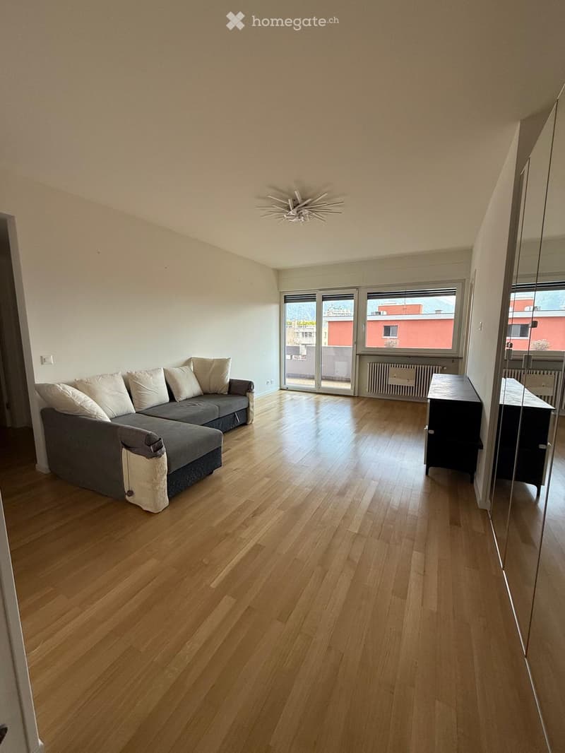 Furnished Room. Spacious room with a gray sofa, white pillows, wooden floor, and large glass doors leading to a balcony. A black cabinet is placed against the wall.