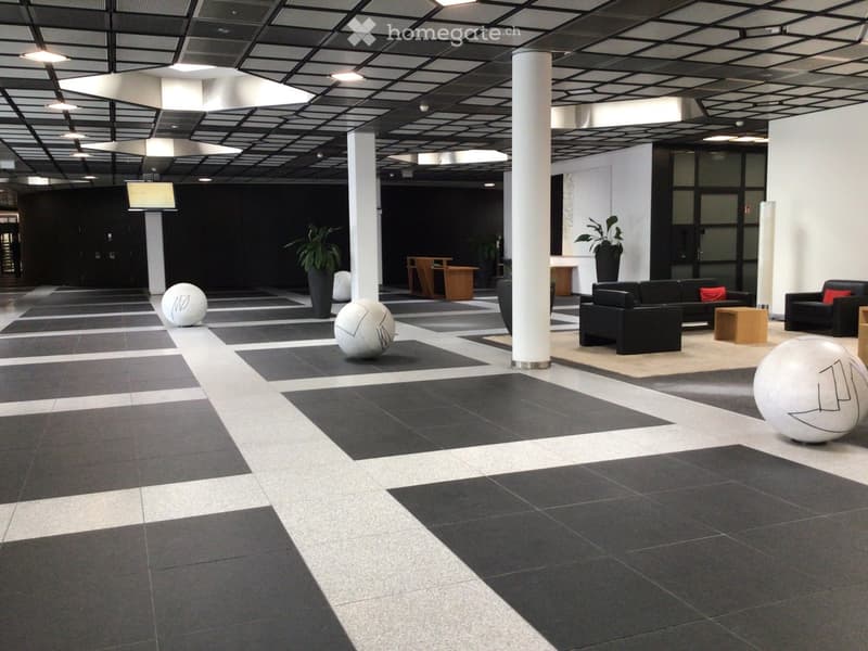 Bureaux modernes de 530 m2 (2)